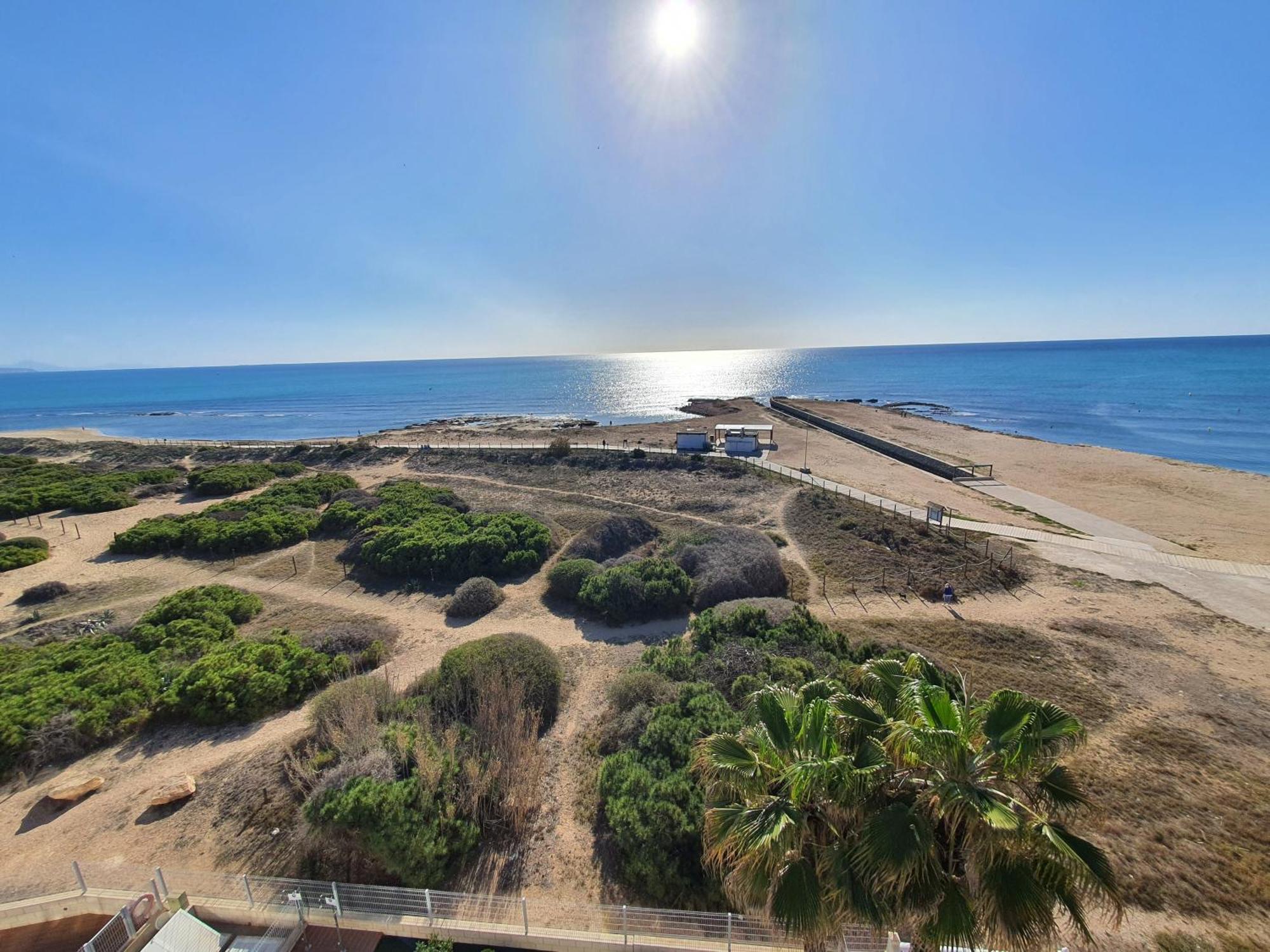 Al048 Pinada Beach IV La Mata La Mata  Dış mekan fotoğraf